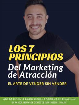 LOS 7 PRINCIPIOS DEL MARKETING DIGITAL