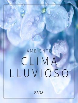 AMBIENTE - CLIMA LLUVIOSO