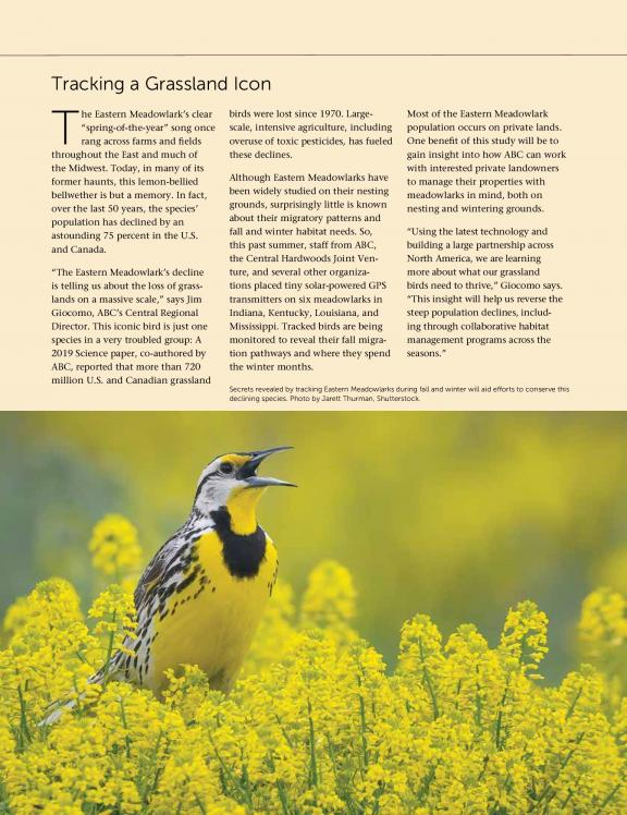 BIRD CONSERVATION | USA ( English )