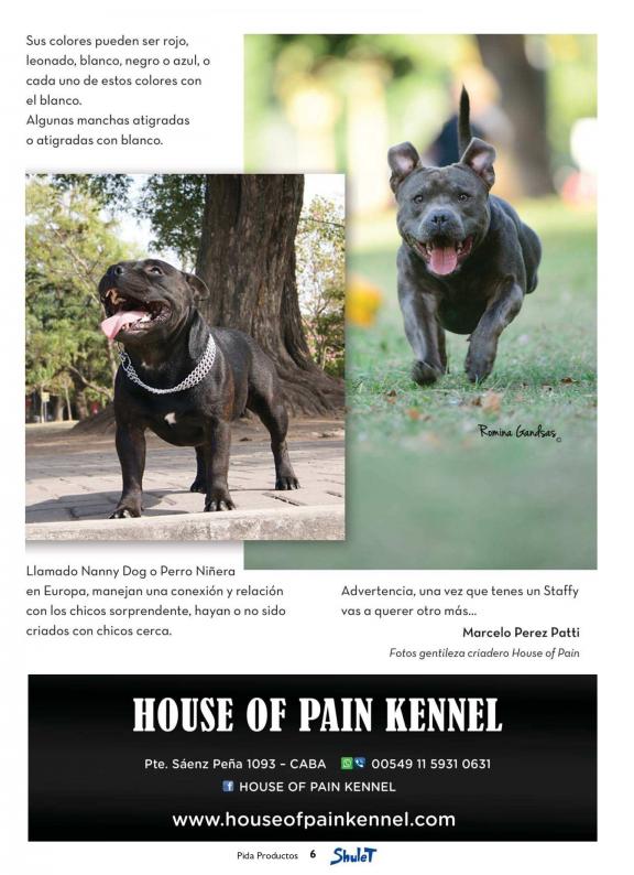 Revistas Ya Mundo Mascota Argentina 104 Staffy