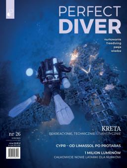 PERFECT DIVER