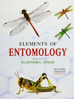 ELEMENTOS DE LA ETIMOLOGIA