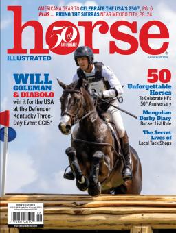 HORSE ILLUSTRATED